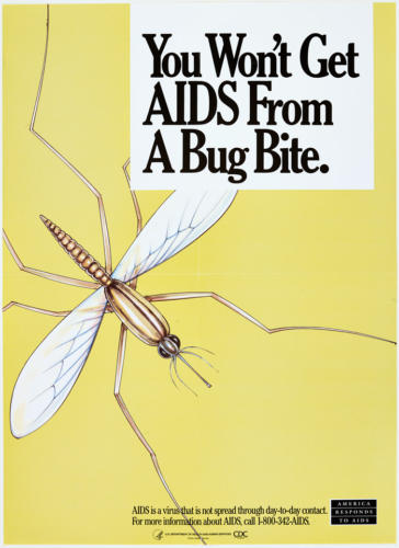 24-You Won’t Get AIDS from a Bug Bite, 1990 USA