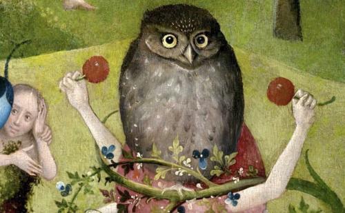 Another of the 25 owls in the Bosch's works