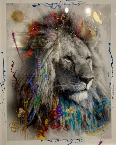 Cecil, Lion, by Arno Elias. Photograph. 54 x 43