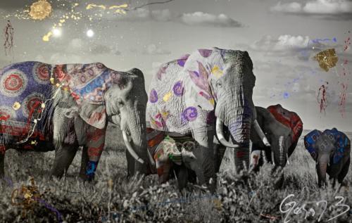 Mungano, Elephant, by Arno Elias. Photograpg 91 x 61