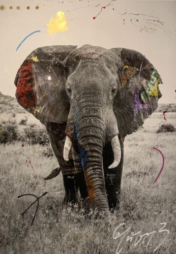 Tempo 10 by Arno Elias. Samburu, Kenya. Hand embellished photography.