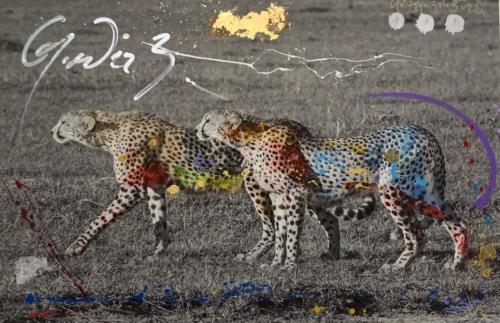 The Hunt, Cheetah, by Arno Elias.Hand painted Gold leaf and diamond dust. 42 x 30